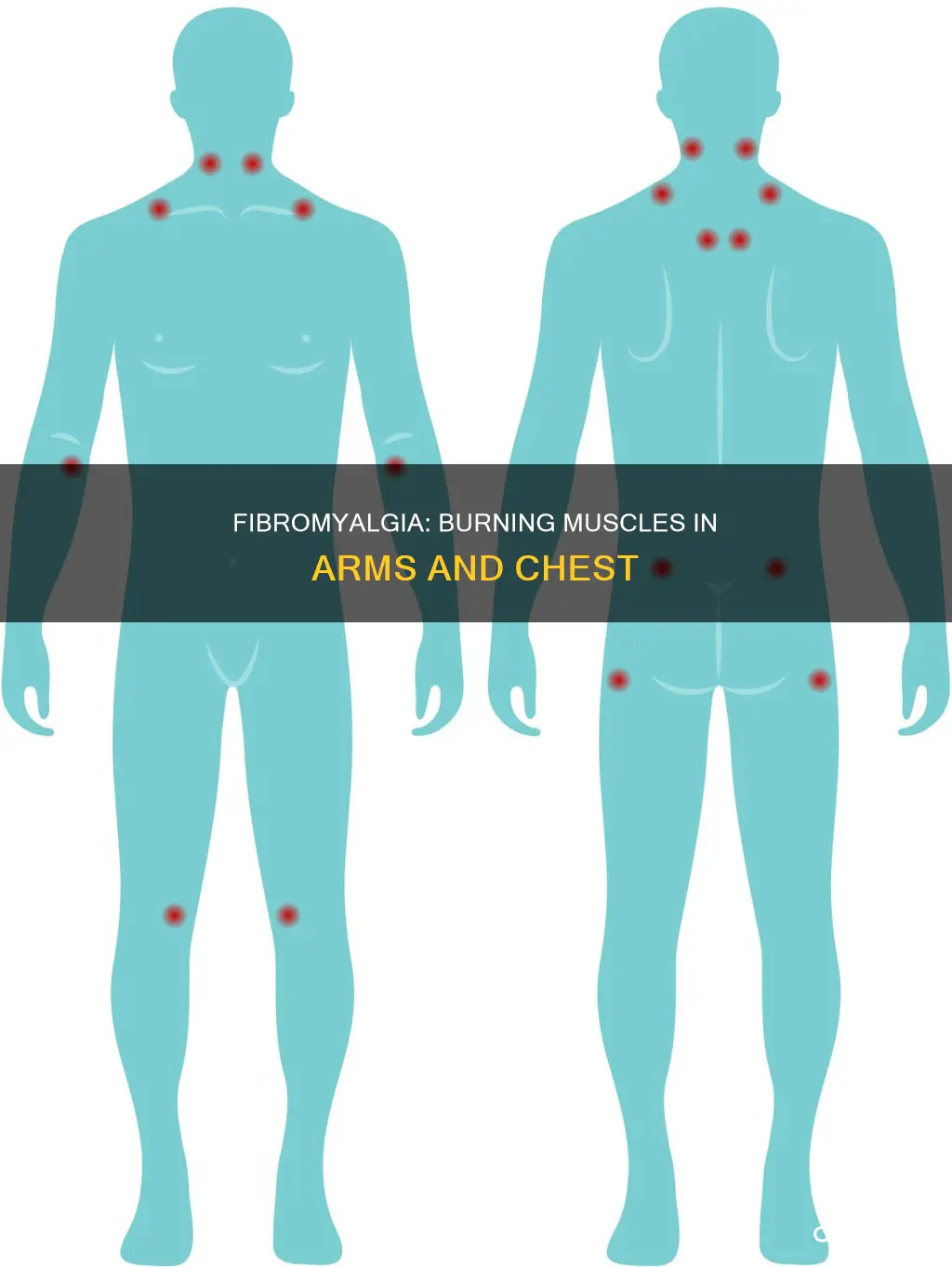 can fibromyalgia cause burning muscles in arma and chest
