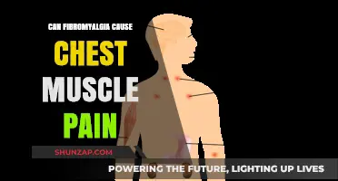 Fibromyalgia: Can It Cause Chest Muscle Pain?