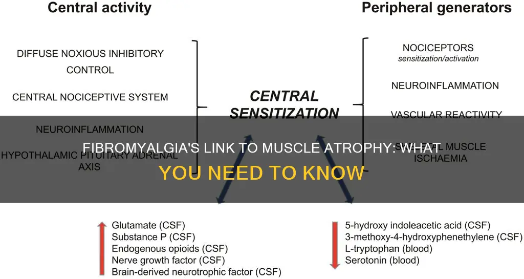 can fibromyalgia cause muscle atrophy
