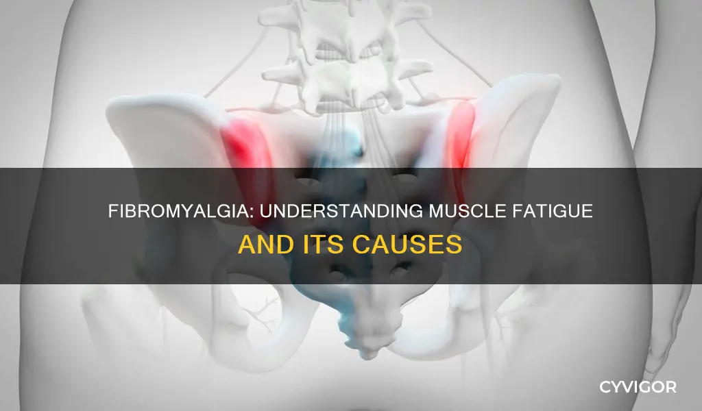 can fibromyalgia cause muscle fatigue