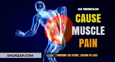 Fibromyalgia: Understanding the Link Between Fibro and Muscle Pain