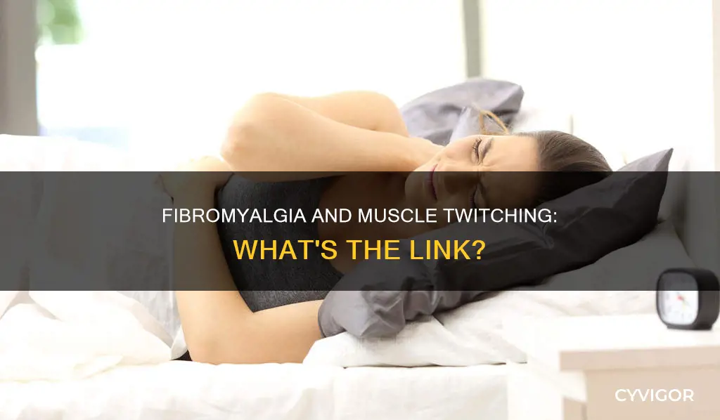 can fibromyalgia cause muscle twitches