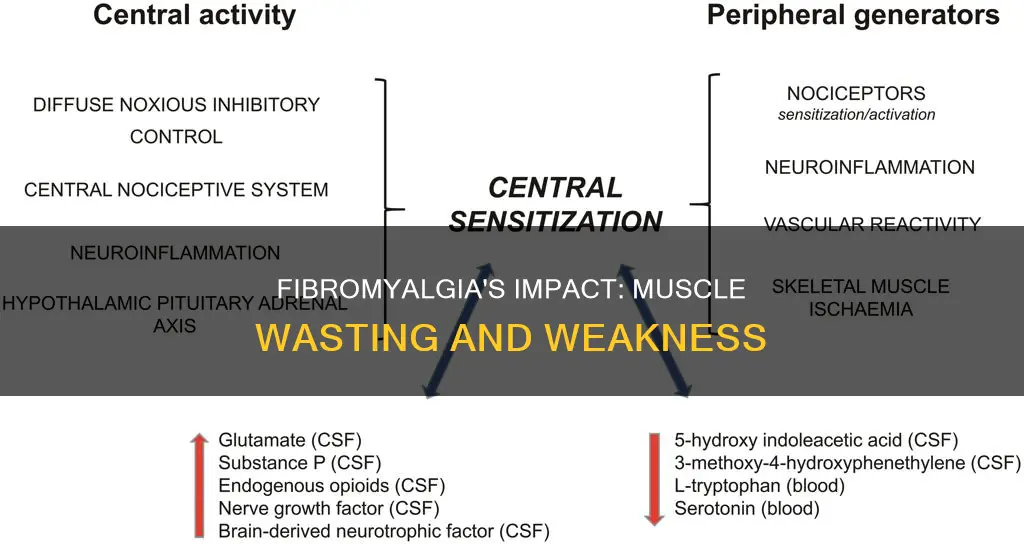 can fibromyalgia cause muscle wasting