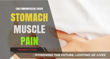 Fibromyalgia: Stomach Muscle Pain Explained