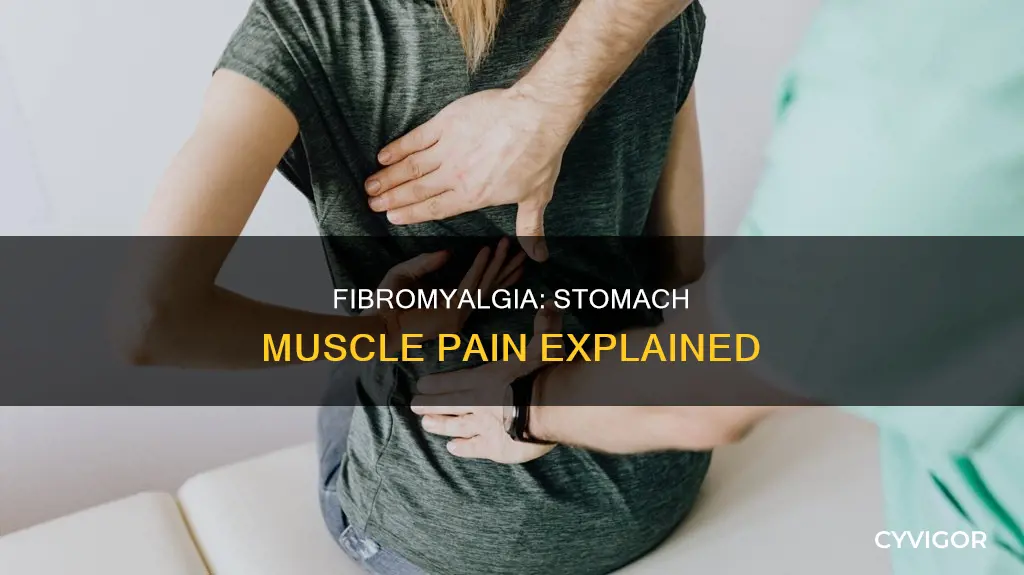 can fibromyalgia cause stomach muscle pain