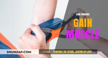 Can Fingers Build Muscle? Unlocking Hand Strength and Dexterity
