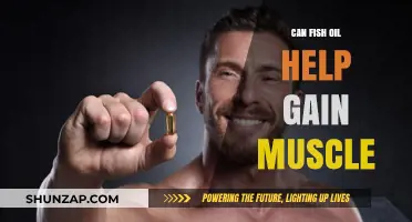 Fish Oil and Muscle Gain: Unlocking Strength and Growth Potential