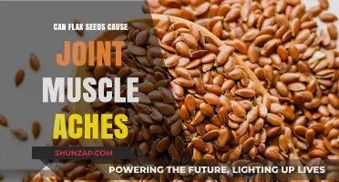 Flax Seeds: Joint Pain and Muscle Aches?