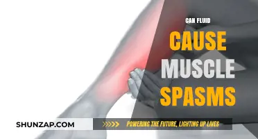 Hydration and Muscle Spasms: What's the Connection?