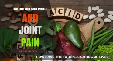 Folic Acid: Muscle and Joint Pain Culprit?