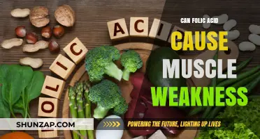 Folic Acid: A Cause of Muscle Weakness?