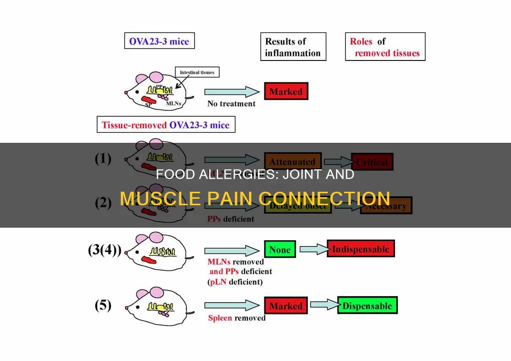 can food allergies cause joint and muscle pain