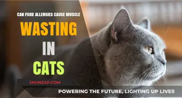 Food Allergies: A Cause of Muscle Wasting in Cats?