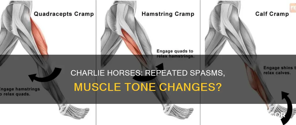 can frequent charlie horses cause muscle tone