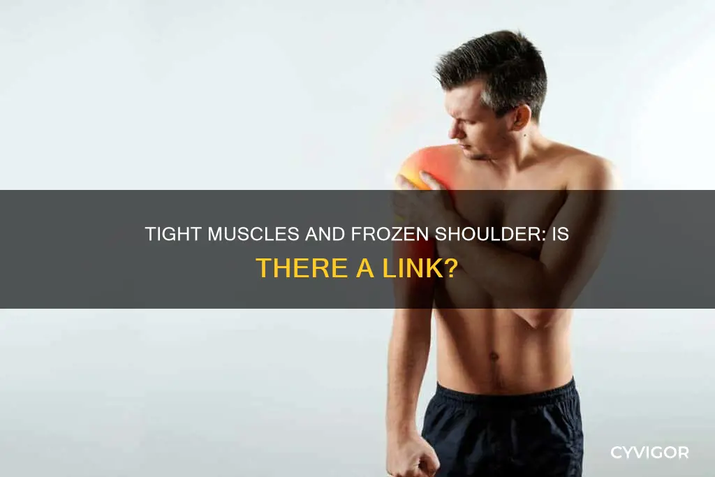 can frozen shoulder be caused by tight muscles