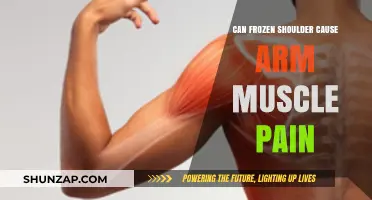 Frozen Shoulder: Arm Muscle Pain Explained