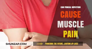 Fungal Infections: Can They Cause Muscle Pain?