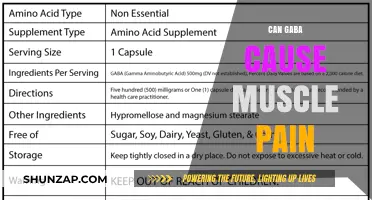 GABA's Muscle Pain Mystery: Fact or Fiction?