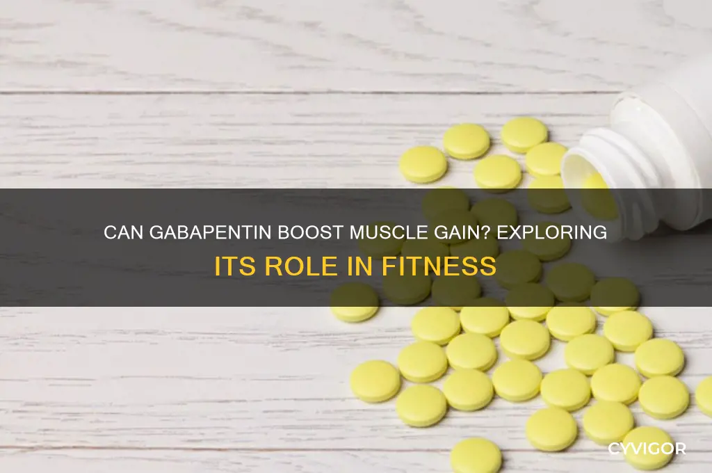 can gabapentin help me gain muscle