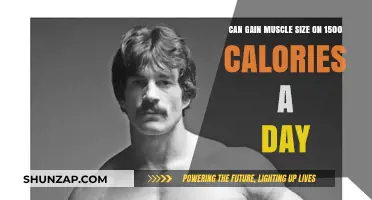 Building Muscle on 1500 Calories: Is It Possible?