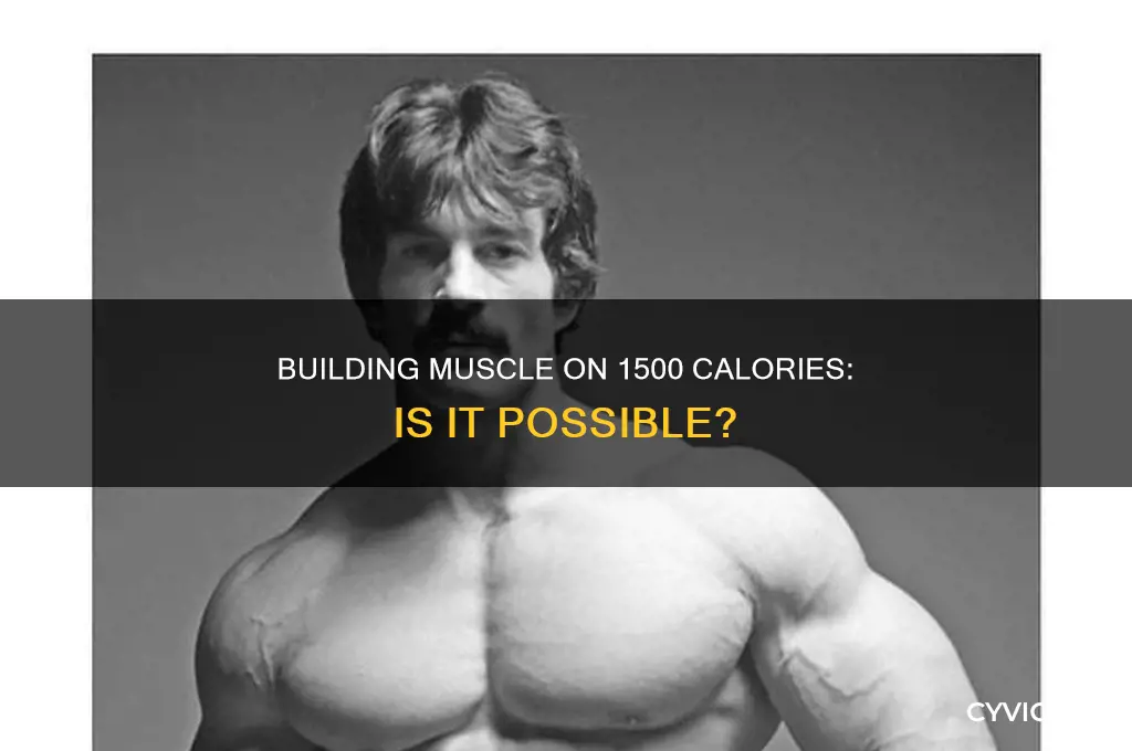 can gain muscle size on 1500 calories a day
