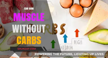 Building Muscle on Low-Carb Diets: Myths vs. Reality