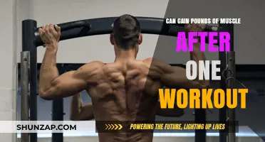 Can One Workout Really Spark Significant Muscle Gain?