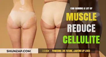Muscle Gain and Cellulite: Can Strength Training Smooth Skin?