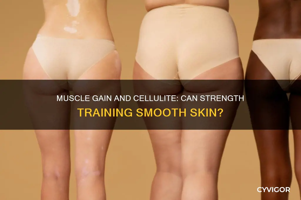 can gaining a lot of muscle reduce cellulite