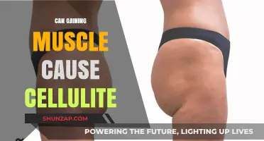 Building Muscle: Can It Remove Cellulite?