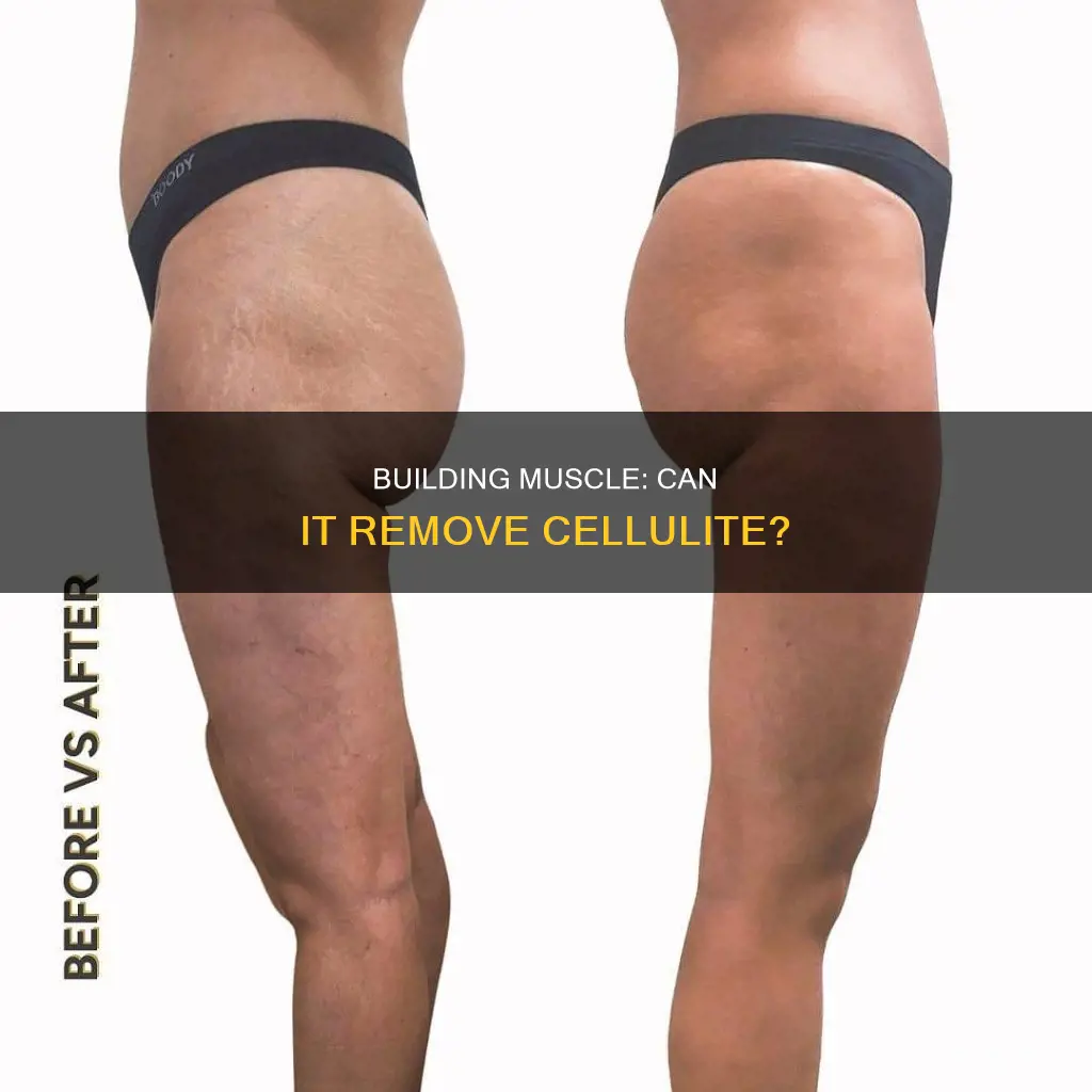 can gaining muscle cause cellulite