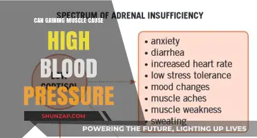 Muscle Gain and Blood Pressure: What's the Link?