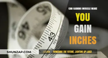 Does Building Muscle Increase Your Body Measurements? The Truth Revealed