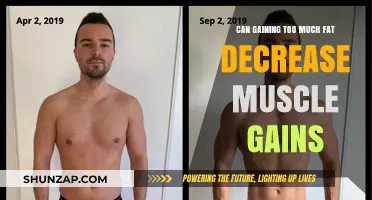 Excess Fat Gain: Hindering Muscle Growth and Fitness Progress?