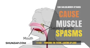 Gallbladder Attacks: Muscle Spasms and Pain
