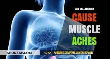 Gallbladder and Muscle Aches: Is There a Link?
