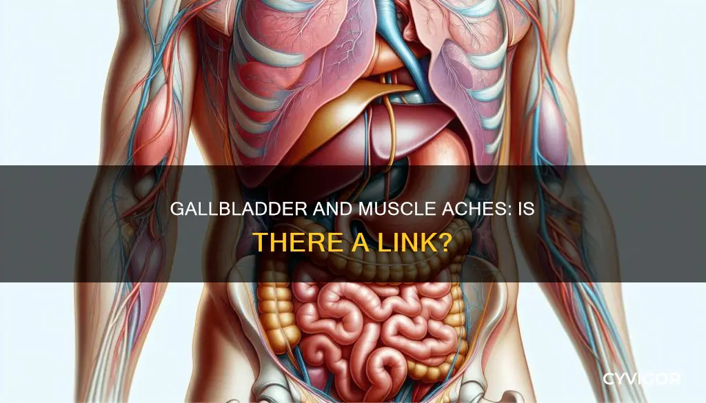 can gallbladder cause muscle aches