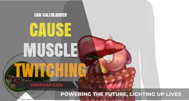 Gallbladder and Muscle Twitching: Is There a Link?