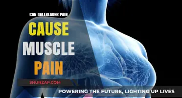 Gallbladder Pain: Muscle Pain Symptom or Coincidence?