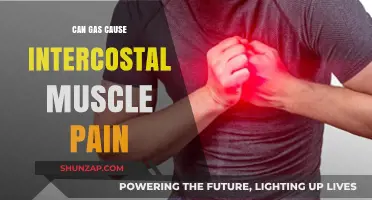 Gas and Intercostal Muscle Pain: What's the Link?