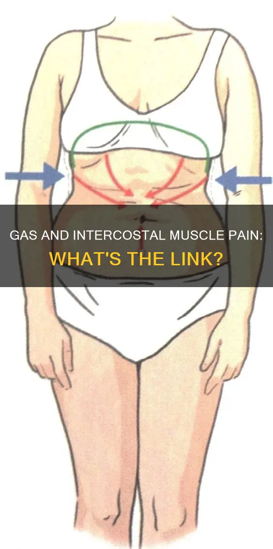 can gas cause intercostal muscle pain