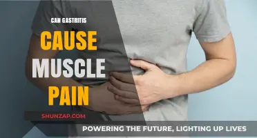 Gastritis and Muscle Pain: Is There a Link?
