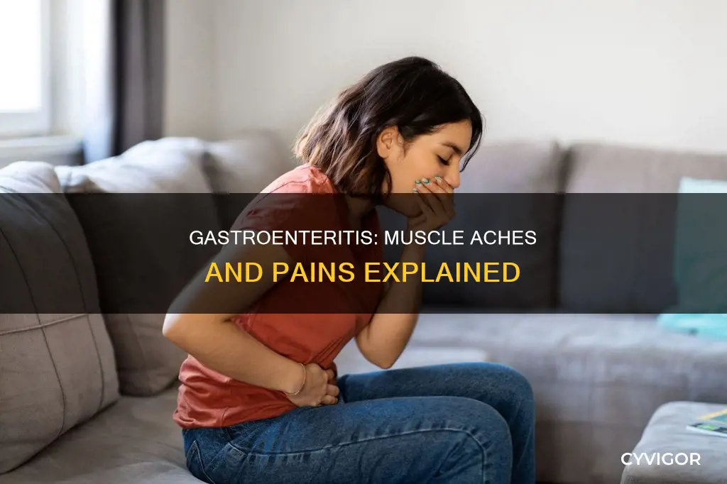 can gastroenteritis cause muscle aches