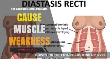 Gastrointestinal Problems: A Cause of Muscle Weakness?
