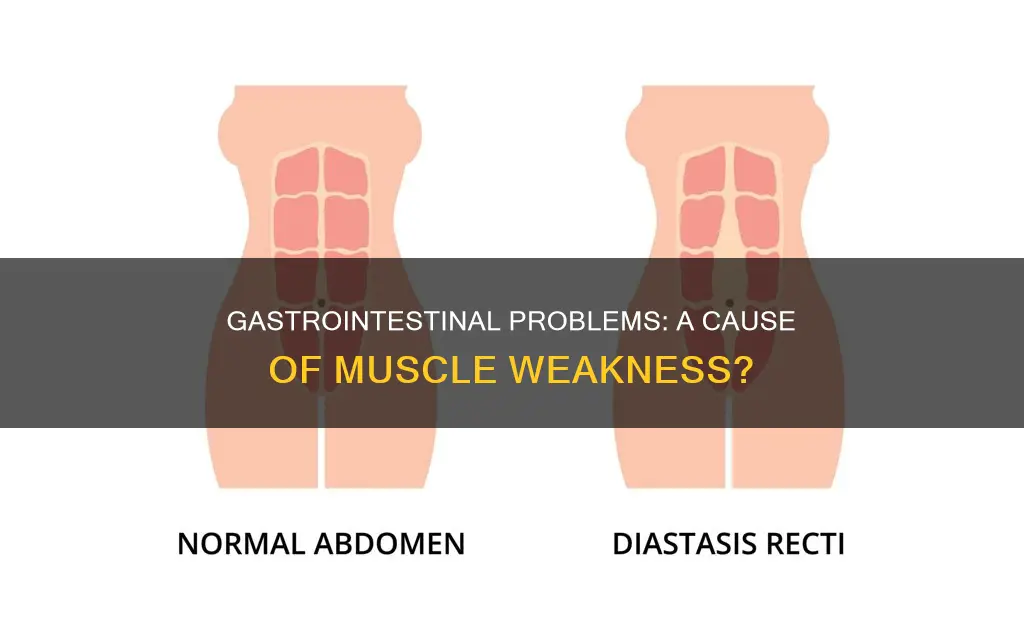 can gastrointestinal problems cause muscle weakness