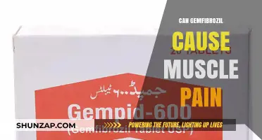 Gemfibrozil's Muscular Pain: What You Need to Know
