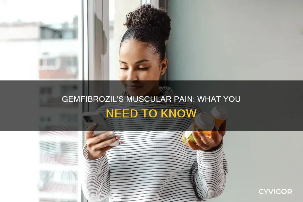 can gemfibrozil cause muscle pain