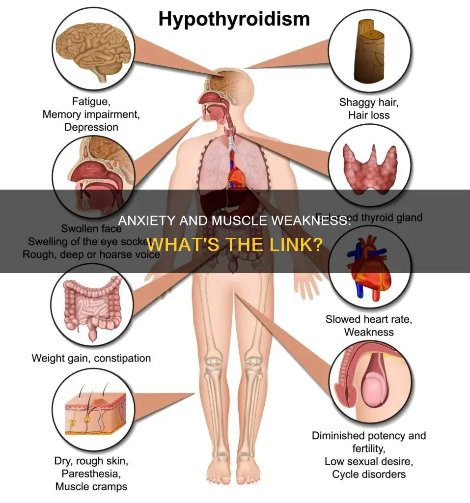 can general anxiety disorder cause muscle weakness