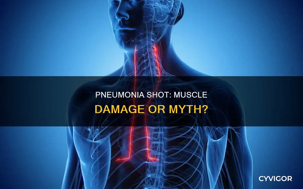 can getting a pneumonia shot cause damage in that muscle