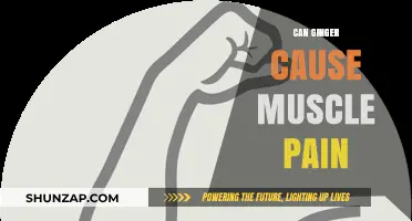 Ginger and Muscle Pain: What's the Connection?